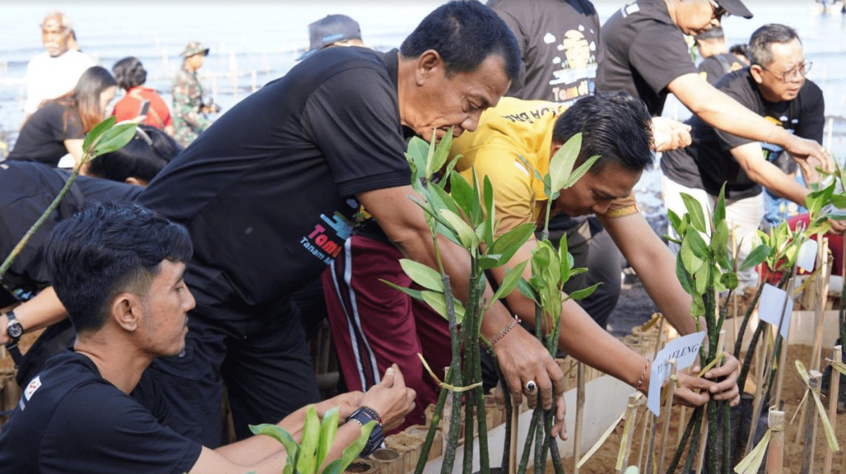 Benahi Ekosistem Lingkungan Pj Lihadnyana Inisiasi Penanaman Mangrove