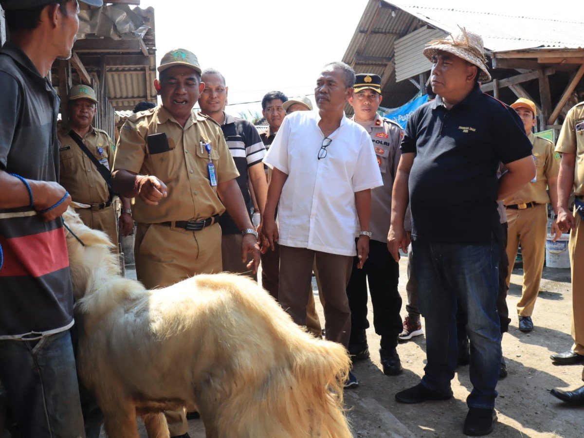 Bupati Tamba Tinjau Kesehatan Hewan Kurban Jelang Idul Adha 2023