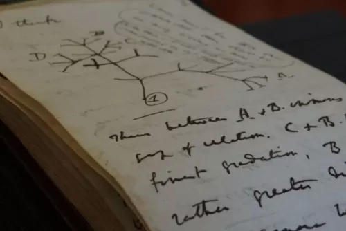 20 Tahun Dicuri, Buku Catatan Ikonis Charles Darwin Ditemukan