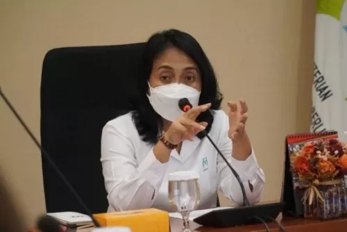 Kemen PPPA Minta Orang Tua Awasi Anak Bermedsos