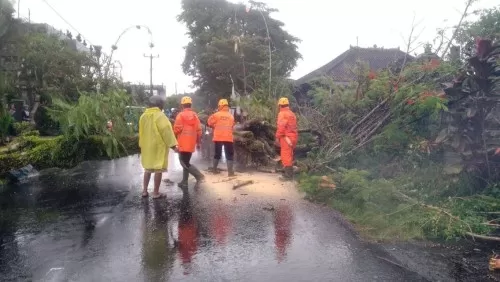 Waspada! Intensitas Hujan Tinggi Akibatkan Bencana Alam dan Lakalantas