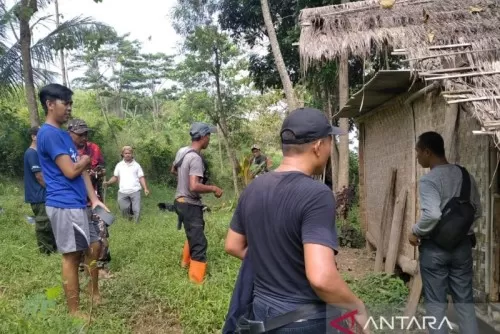 gubug-hutan-21