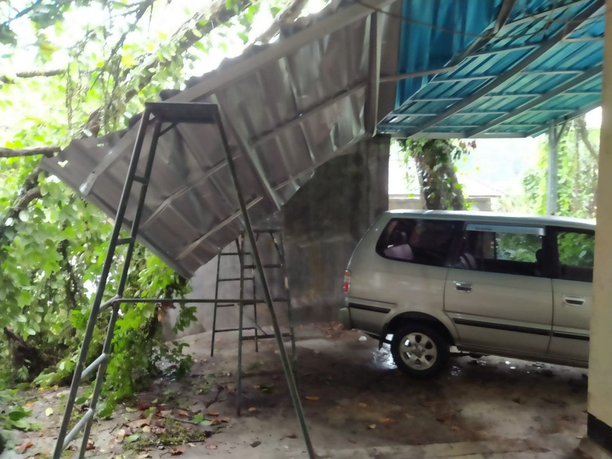 Bencana Alam Pohon Tumbang Timpa Garasi Mobil di Tabanan