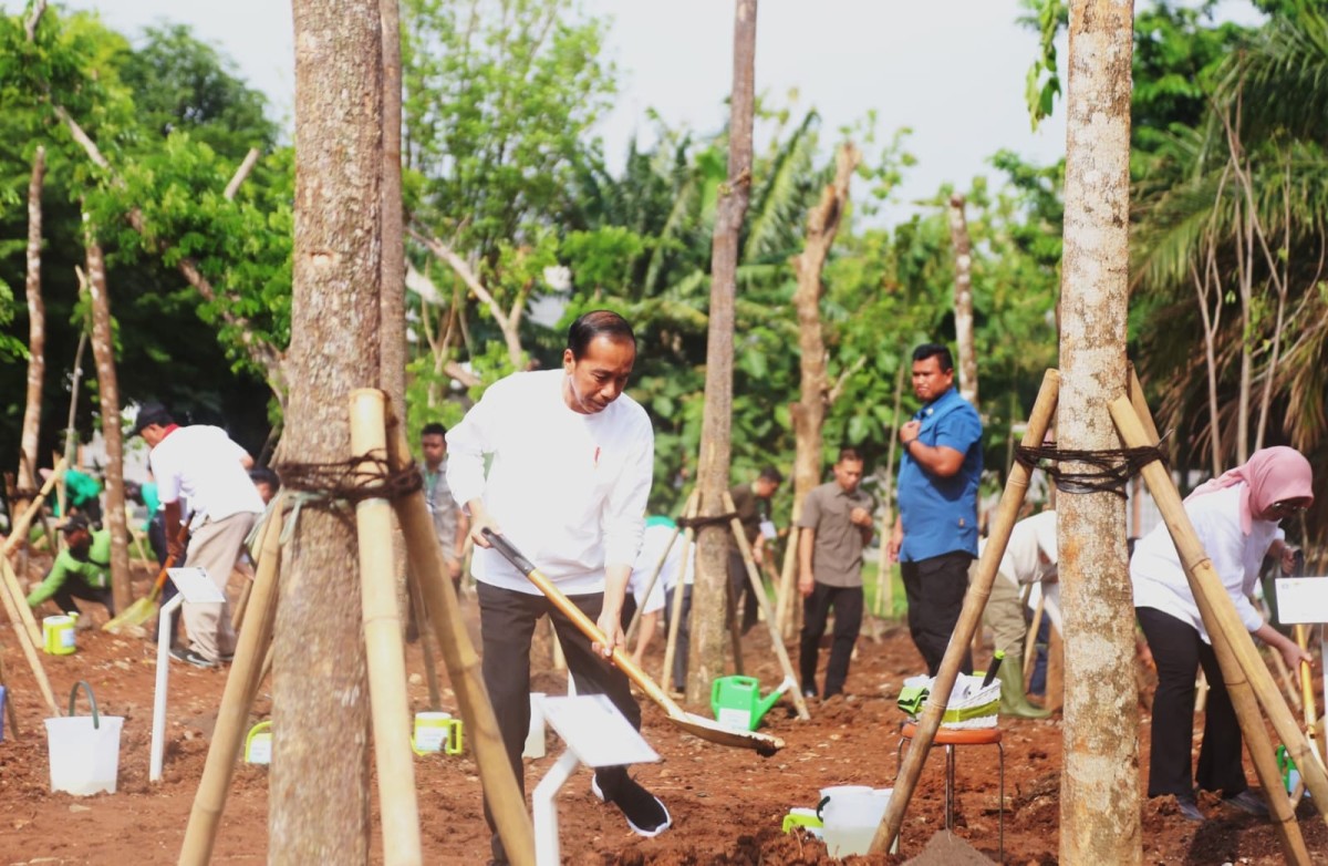 Presiden RI Joko Widodo secara simbolis menanam pohon jenis pulai dalam Gerakan Tanam Pohon Bersama yang dilaksanakan di Hutan Kota Kawasan Industri Pulo Gadung, Jakarta Timur hari Rabu 29 November 2023.