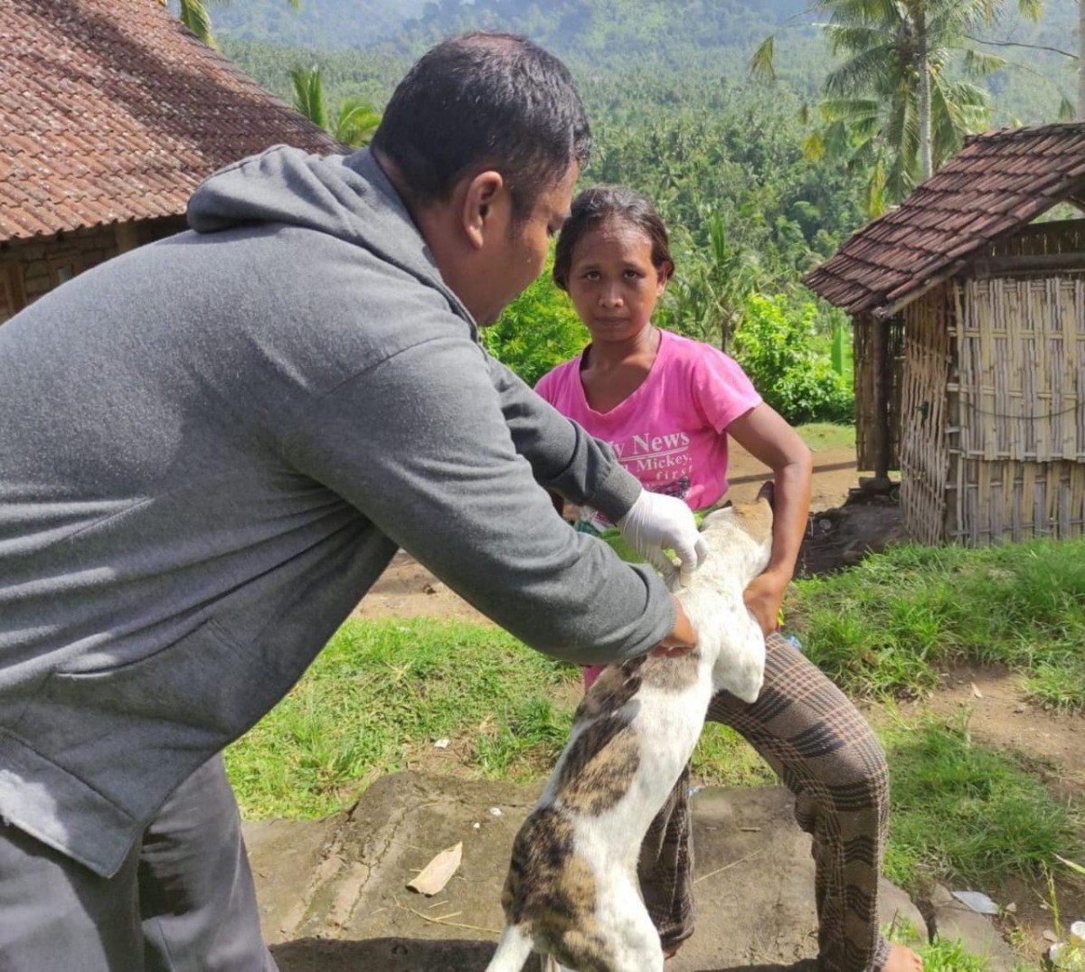 Puluhan HPR Divaksinasi Darurat Pasca Gigitan Anjing Rabies di Jembrana