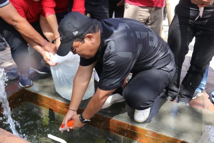 Bupati Tabanan Dr. I Komang Gede Sanjaya, SE., MM, melanjutkan agenda dengan kegiatan penebaran ikan di Kolam Padmasana Kantor Bupati Tabanan pada Kamis pagi 8 Februari 2024.