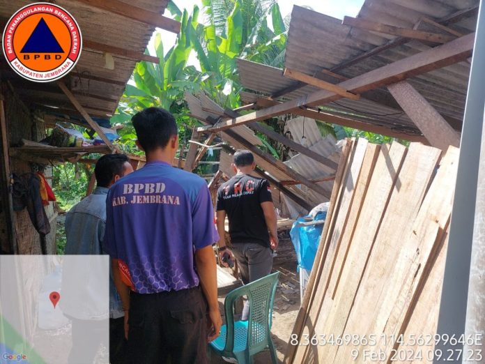 Petugas BPBD melakukan pengecekan terhadap kondisi rumah semi permanen milik warga di Banjar Kembangsari, Desa Cupel, Kecamatan Negara, yang roboh rata dengan tanah pada Rabu 7 Februari 2024 malam.