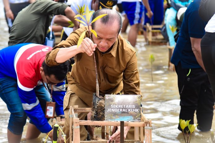 Sekretaris Jenderal (Sekjen) KLHK, Bambang Hendroyono, memimpin langsung kegiatan penanaman mangrove bersama masyarakat di Tanjung Benoa 7 Februari 2024.