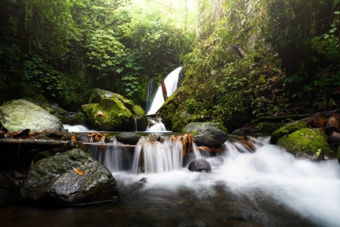 Air Terjun Yeh Hoo, Keajaiban Alam Tersembunyi di Desa Jatiluwih