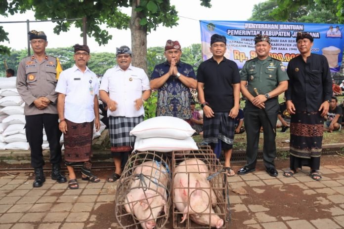 Jelang Nyepi, Bupati Tamba dan Wabup Ipat Bagikan 128 Babi dan Beras ke Seluruh Desa Adat se-Jembrana.