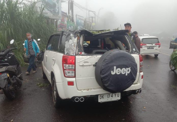 Kondisi mobil Ketut Catur (36) pasca tertimpa pohon di Banjar Dinas Yeh Ketipat, Desa Wanagiri, Kecamatan Sukasada, Buleleng.