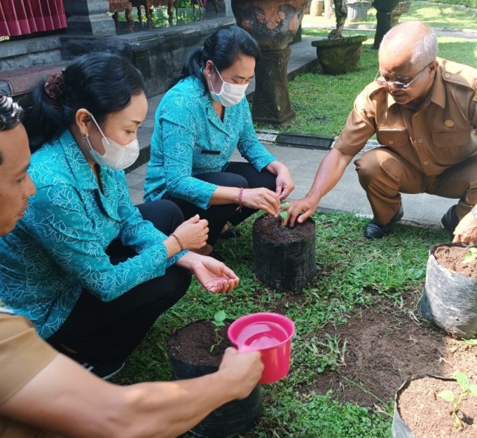 Sariasih Sedana Arta Dukung Gerakan Tanam Cabai untuk Kesejahteraan Bangli