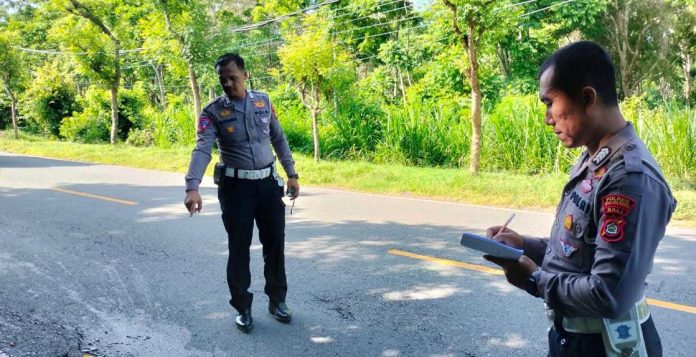 Polisi saat melakukan olah TKP di Kilometer 71,2 Jalan Singaraja-Gilimanuk Wilayah Dusun/Desa Pejarakan, Kecamatan Gerokgak, Buleleng.