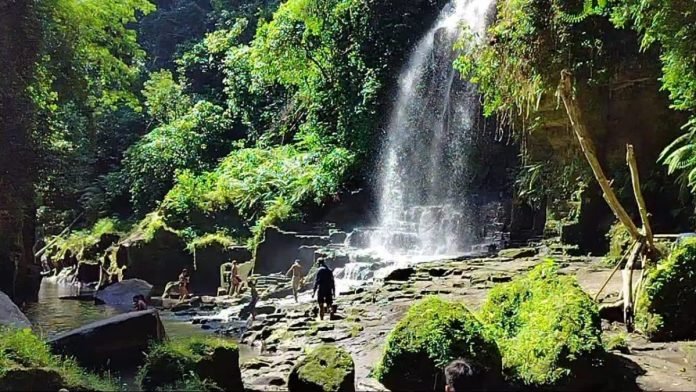 Air terjun Temesi di Desa Temesi, Kabupaten Gianyar Air terjun Temesi di Desa Temesi, Kabupaten Gianyar
