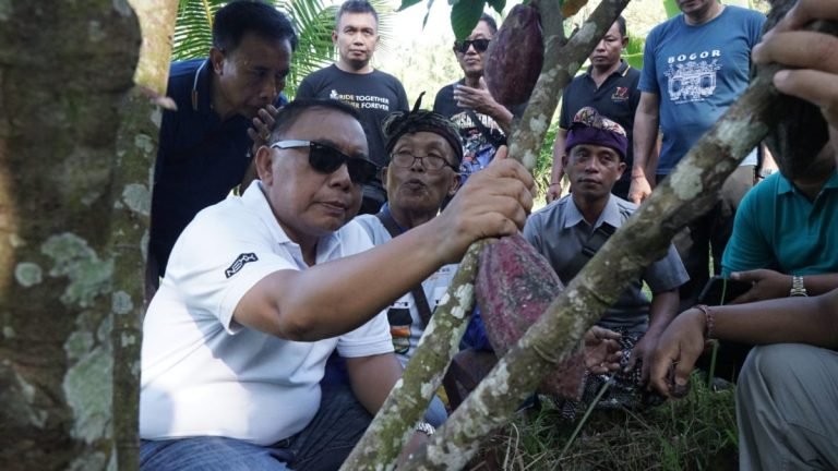 Bupati Jembrana I Nengah Tamba, didampingi oleh Wakil Bupati I Gede Ngurah Patriana Krisna (Ipat), saat hari libur mengunjungi perkebunan kakao milik masyarakat di Banjar Munduk Tumpeng.