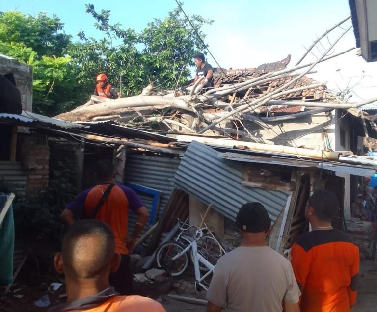 tim reaksi cepat (TRC) Regu III BPBD Buleleng saat melakukan penanganan pohon tumbang di lokasi kejadian.