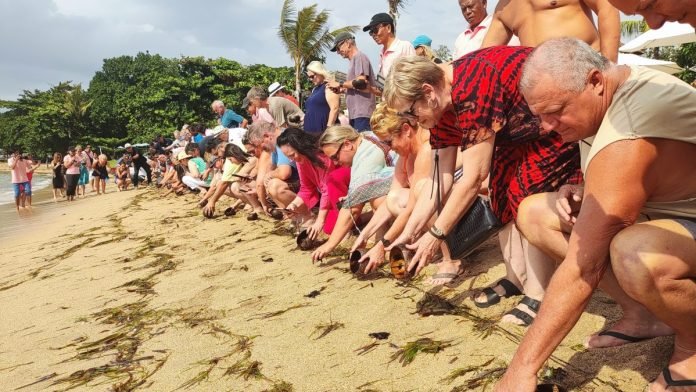 Griya Santrian Celebrates 52nd Anniversary with Turtle Release to Preserve Ecosystem