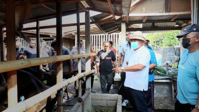 Bupati Tamba Pastikan Kesehatan Hewan Kurban Jelang Idhul Adha