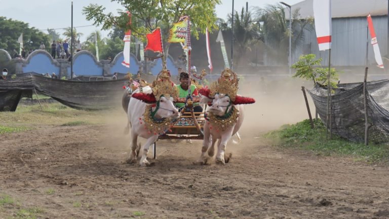 Mekepung Jembrana Cup 2024, Lestarikan Tradisi dan Budaya Kabupaten Jembrana