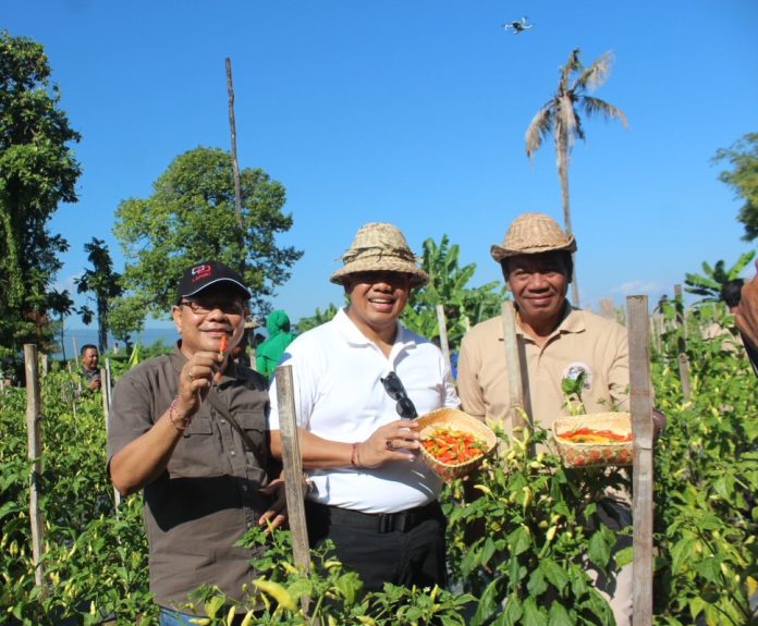 Kendalikan Inflasi, Pj Gubernur Bali Panen Cabai dan Ikan Nila di Hutan Kota Singaraja