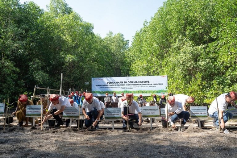 Peringati Hari Lingkungan Hidup Sedunia, Yayasan AHM Tanam 20.000 Mangrove di Banyuwangi