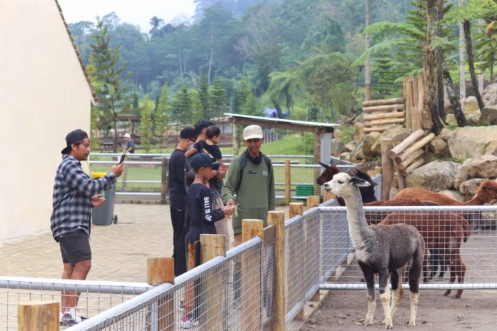 Bali Farm House, Sensasi Baru Wisata di Buleleng