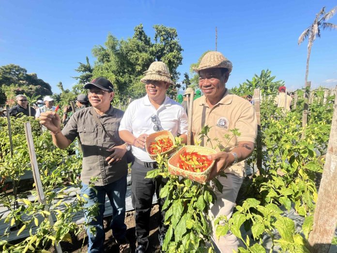 Wujudkan Ketahanan Pangan, Pj Bupati Lihadnyana Ajak Pj Gubernur Bali Panen Cabai di Hutan Kota Singaraja