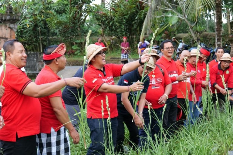 Bupati Sanjaya Soroti Potensi Pertanian Bunga Sedap Malam Desa Sesandan dalam ‘Bungan Desa’ Ke-53