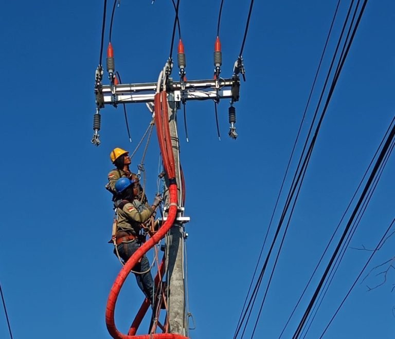 PT PLN (Persero) mencatatkan peningkatan pertumbuhan pelanggan hingga Juni 2024 mencapai 141 persen