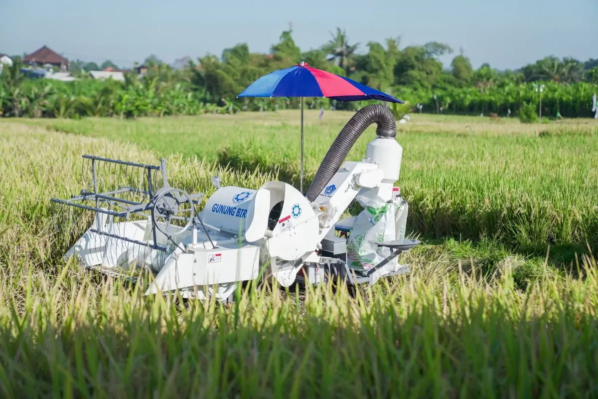 Mesin pertanian modern jenis Combine Harvester