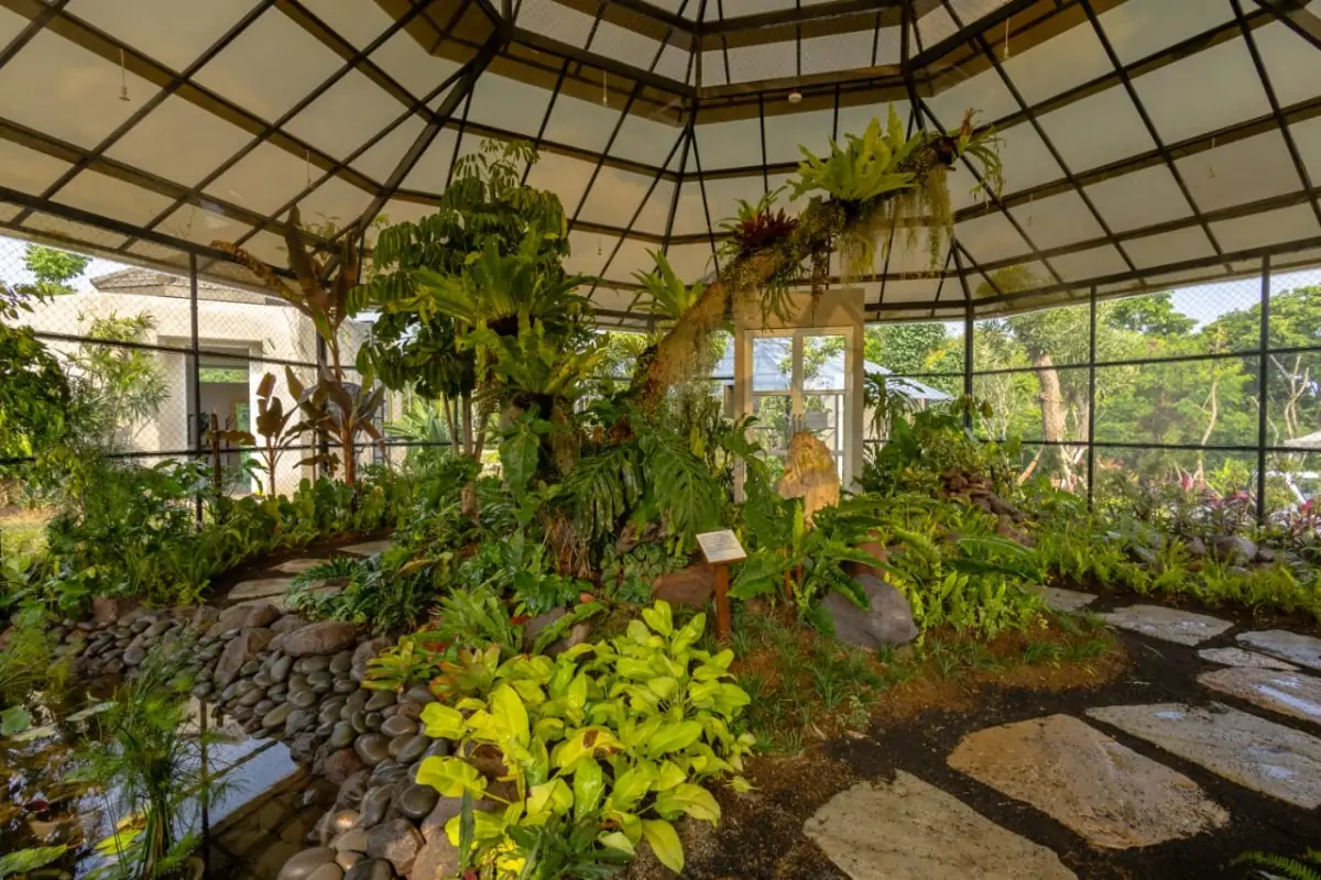 Galeri botani (Botanical Gallery)