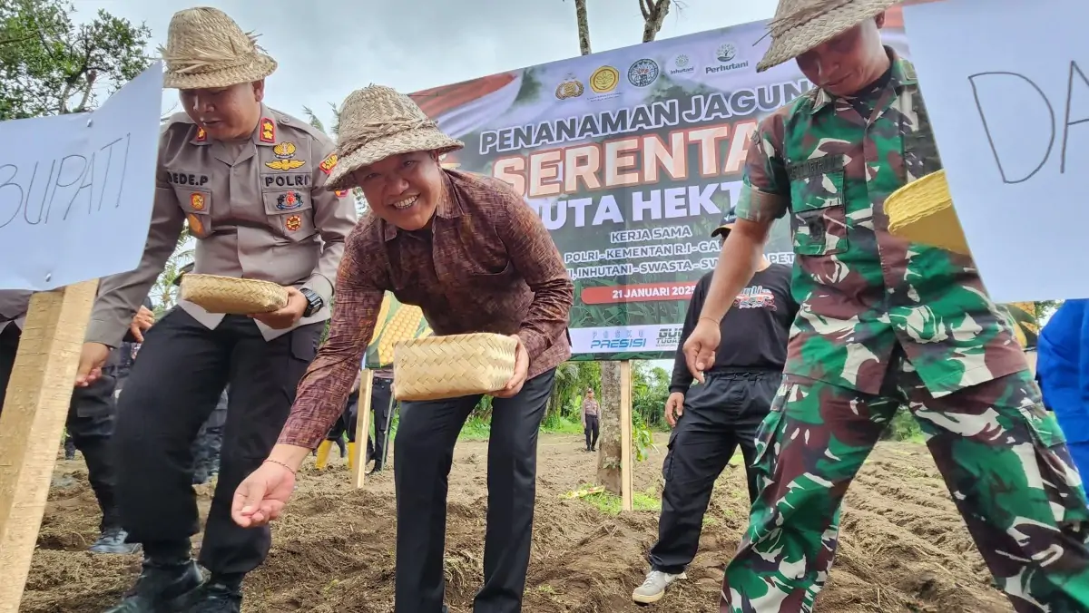 Bupati Bangli Tanam Jagung di Desa Tiga Susut Dukung Swasembada Pangan Nasional