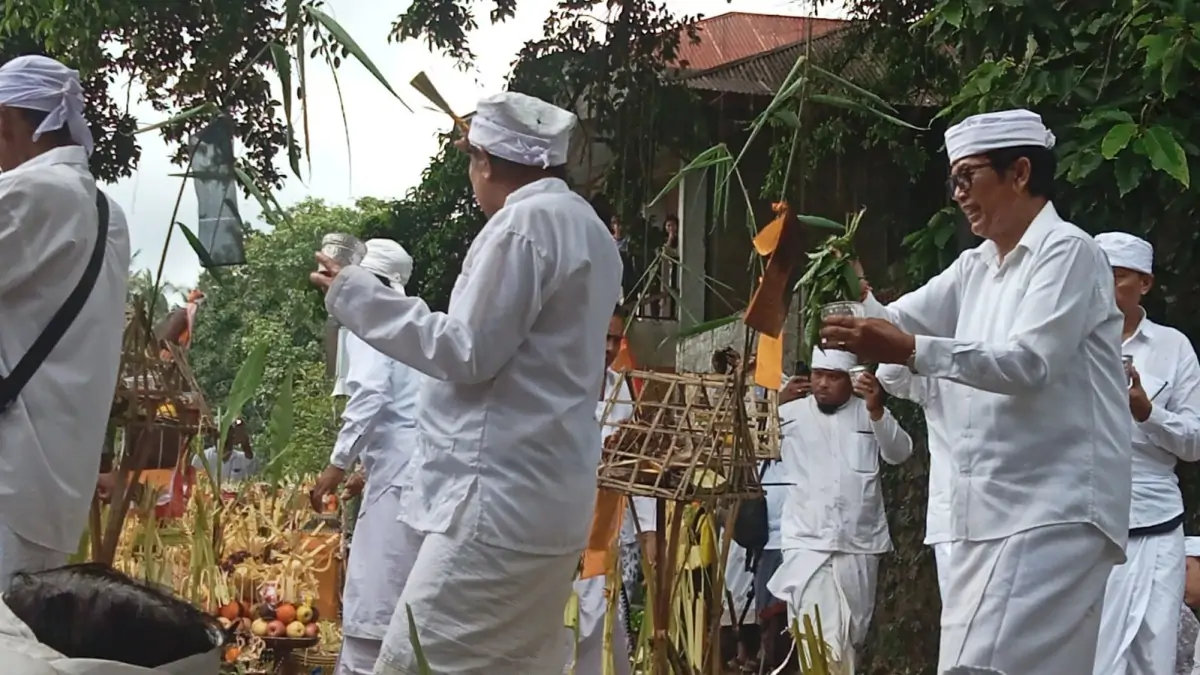 Kembali Digelar Setelah 45 Tahun, Upacara Mecaru Sapi Jantan Hitam Bawa Berkah untuk Desa Bulian
