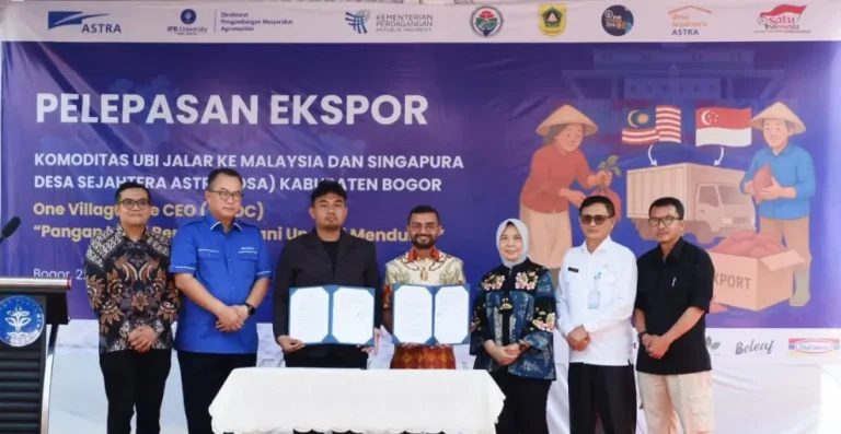 Ekspor Perdana 10 Ton Ubi, Desa Binaan Astra Tembus Pasar Malaysia dan Singapura