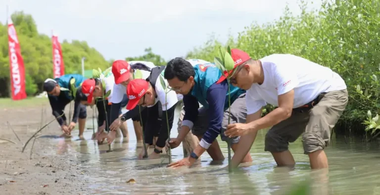 Memperingati Hari Mangrove Sedunia, Synergy Creator Squad (SC Squad), melaksanakan tanam pohon mangrove di pesisir Tambaksari, Karawang.