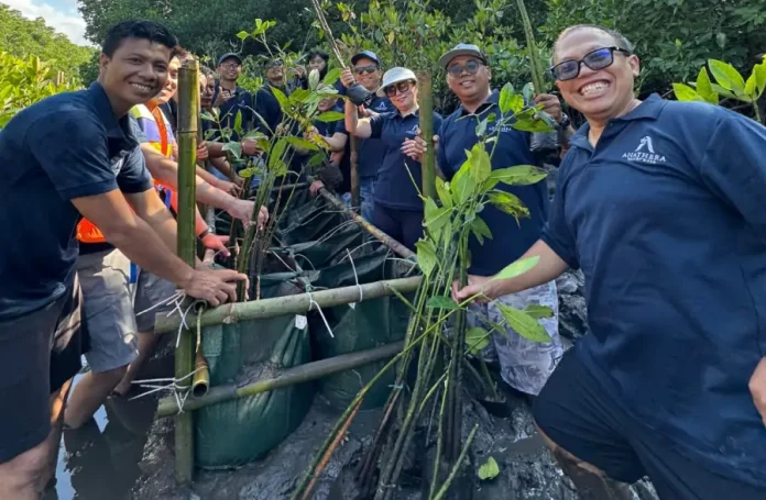 Anathera Resort Kuta Rayakan HUT ke-10 dengan Penanaman 50 Bibit Mangrove dan Aksi Bersih Pantai