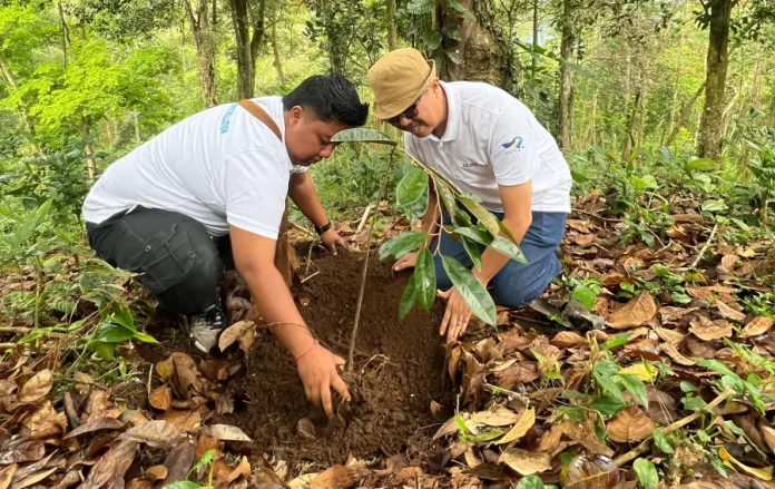 Isu dugaan pembabatan hutan di Desa Ambengan, Kecamatan Sukasada, yang sempat ramai di media sosial, akhirnya mendapat tanggapan resmi