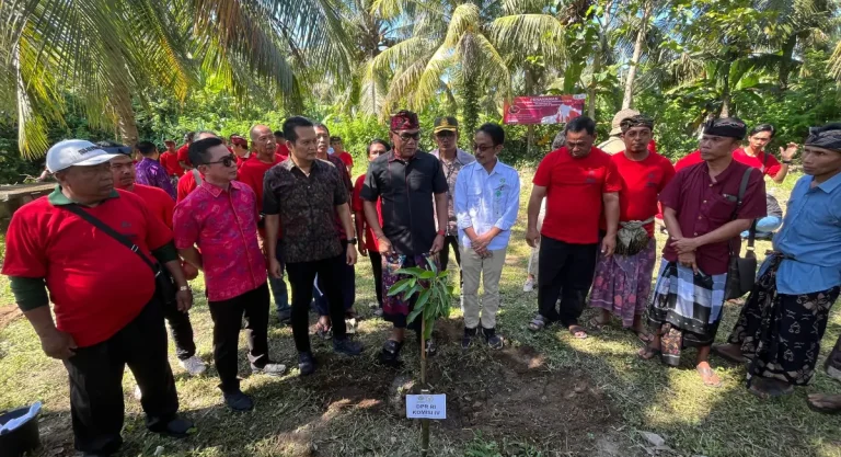 Sinergi DPR RI dan Pemkab Jembrana, Ribuan Bibit Ditanam Demi Hutan Lestari