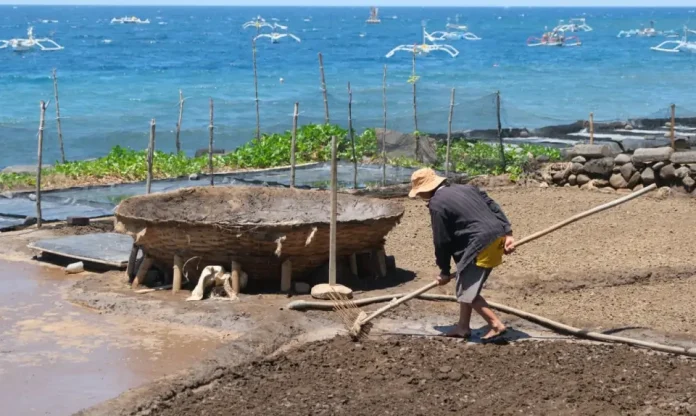Petani garam palungan melakukan proses produksi garam secara tradisional yang menjadikan garam les sebagai ikon utama serta penggerak ekonomi Kampung Berseri Astra Les di Kabupaten Buleleng, Bali Utara.