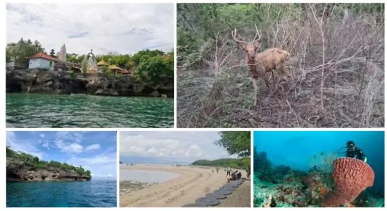 Berbagai keunikan dan keindahan yang tersimpan di obyek wisata Pulau Menjangan, Kawasan Hutan Nasional Bali Barat, Kecamatan Gerogak, Buleleng.