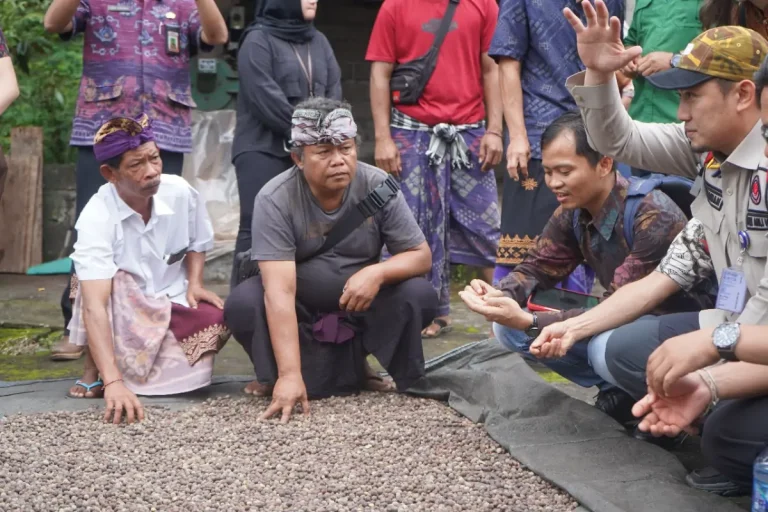 Tim Ahli Verifikasi Indeks Geografis Kopi Lemukih, Dorong Kopi Lokal Mendunia