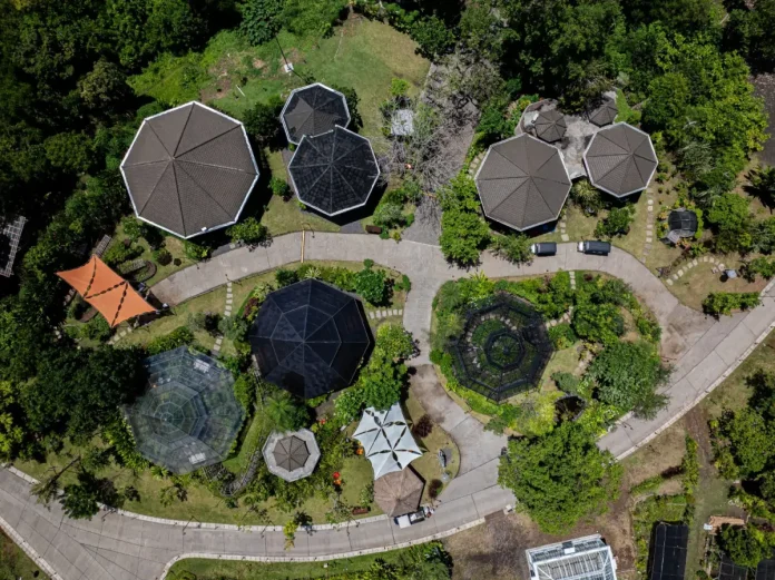 Magic Garden Rayakan Satu Tahun Perjalanan, Hadirkan Delapan Zona Pembelajaran Alam di Nuanu