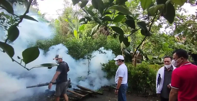 Suasana kegiatan fogging yang dilakukan Tim Reaksi Cepat-TRC Relawan Demam Berdarah Buleleng di Desa Pakisan, Kecamatan Kubutambahan, Buleleng.
