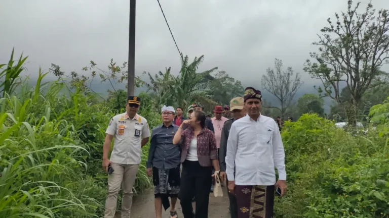 Tak Ada Kompromi di Lahan Pertanian, Pansus TRAP DPRD Bali Siapkan Langkah Hukum