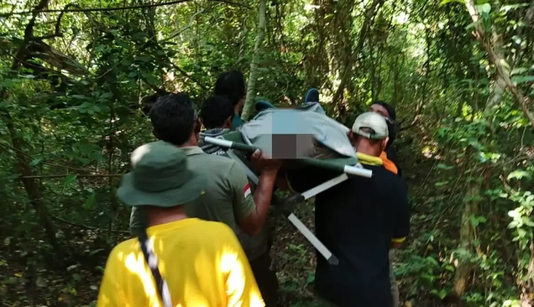 Proses evakuasi jenazah WNA asal Amerika Serikat yang meninggal dunia saat melakukan aktivitas trekking di Kawasan Hutan Taman Nasional Bali Barat (TNBB).