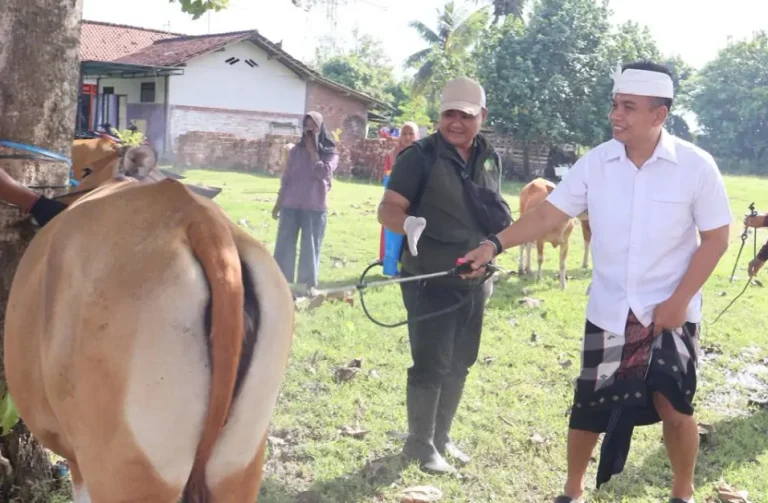 Pemerintah Kabupaten Jembrana memperingati Hari Raya Tumpek Uye atau Tumpek Kandang dengan rangkaian kegiatan sekala dan niskala yang dipusatkan di Pura Dang Kahyangan Jati, Banjar Ketapang Muara, Desa Pengambengan, Sabtu 7 Februari 2026.