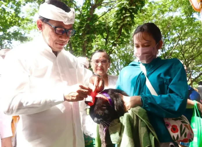 Sekretaris Daerah Kota Denpasar, I Gusti Ngurah Eddy Mulya, dalam kesempatan meninjau vaksinasi gratis serangkaian perayaan Tumpek Uye kepada hewan peliharaan di area Pura Lokanatha Lumintang, Sabtu (7/2/2026) Sekretaris Daerah Kota Denpasar, I Gusti Ngurah Eddy Mulya, dalam kesempatan meninjau vaksinasi gratis serangkaian perayaan Tumpek Uye kepada hewan peliharaan di area Pura Lokanatha Lumintang, Sabtu (7/2/2026)