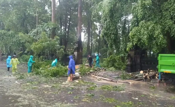 Denpasar Timur Dilanda Banjir dan Pohon Tumbang, Petugas Lakukan Penanganan Darurat