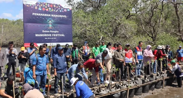 Pertamina Patra Niaga Pertamina Patra Niaga melibatkan pakar lingkungan dan masyarakat setempat untuk mempercepat rehabilitasi ekosistem mangrove di kawasan Benoa. Pertamina Patra Niaga Pertamina Patra Niaga melibatkan pakar lingkungan dan masyarakat setempat untuk mempercepat rehabilitasi ekosistem mangrove di kawasan Benoa.