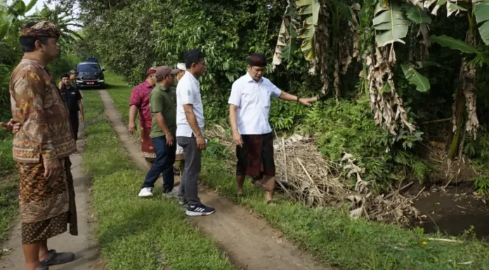 Bupati Jembrana I Made Kembang Hartawan meninjau perbaikan jalan di Desa Pekutatan 2026, menekankan penguatan struktur dan manajemen air agar lebih tahan lama dan aman. Bupati Jembrana I Made Kembang Hartawan meninjau perbaikan jalan di Desa Pekutatan 2026, menekankan penguatan struktur dan manajemen air agar lebih tahan lama dan aman.